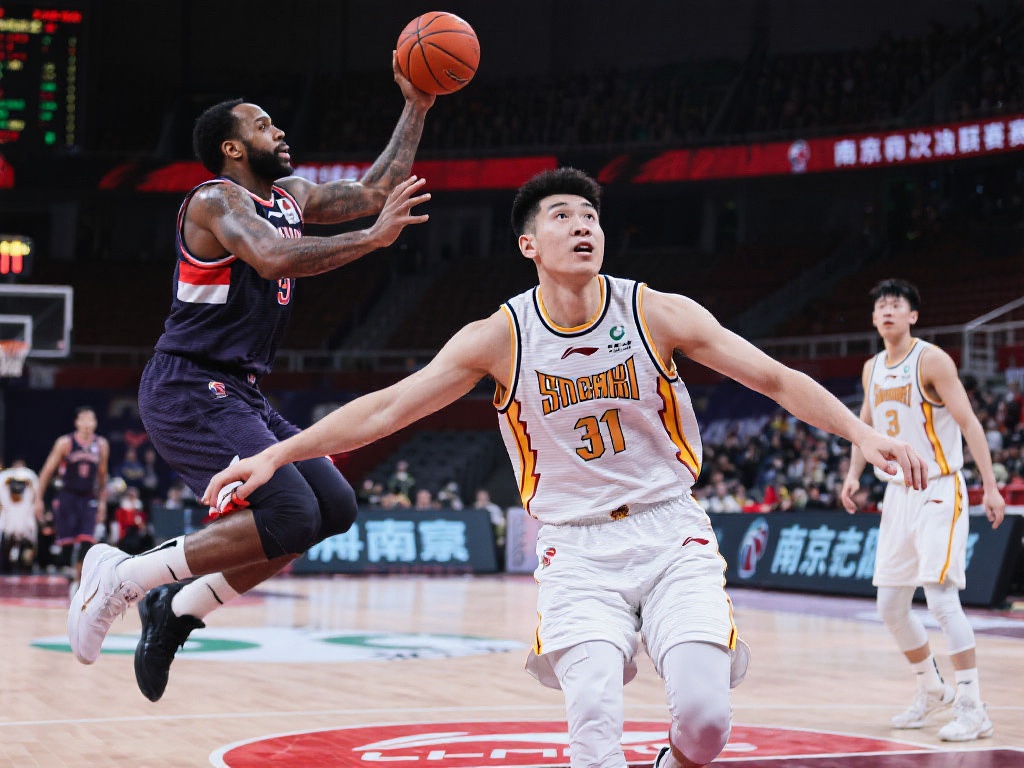 供了全面的 供了全面的